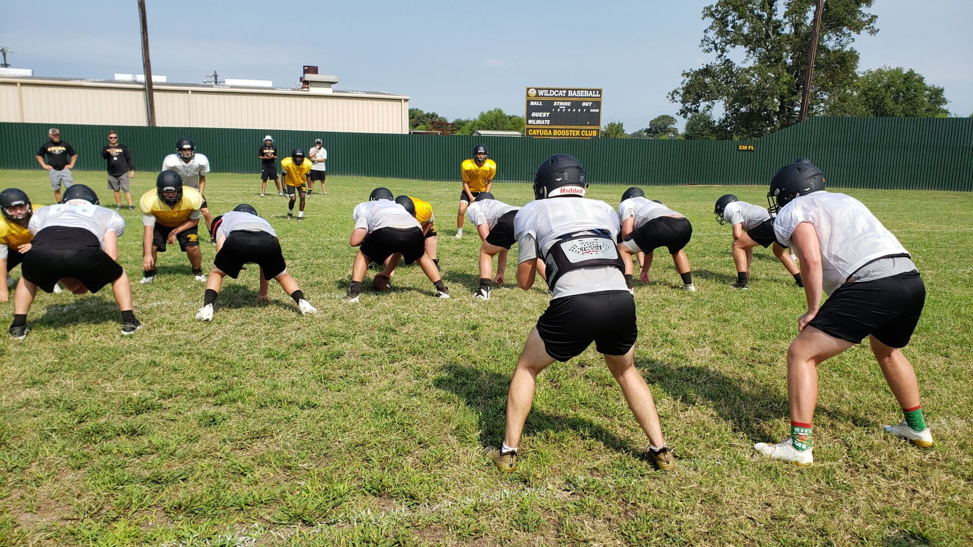 Cayuga Wildcats